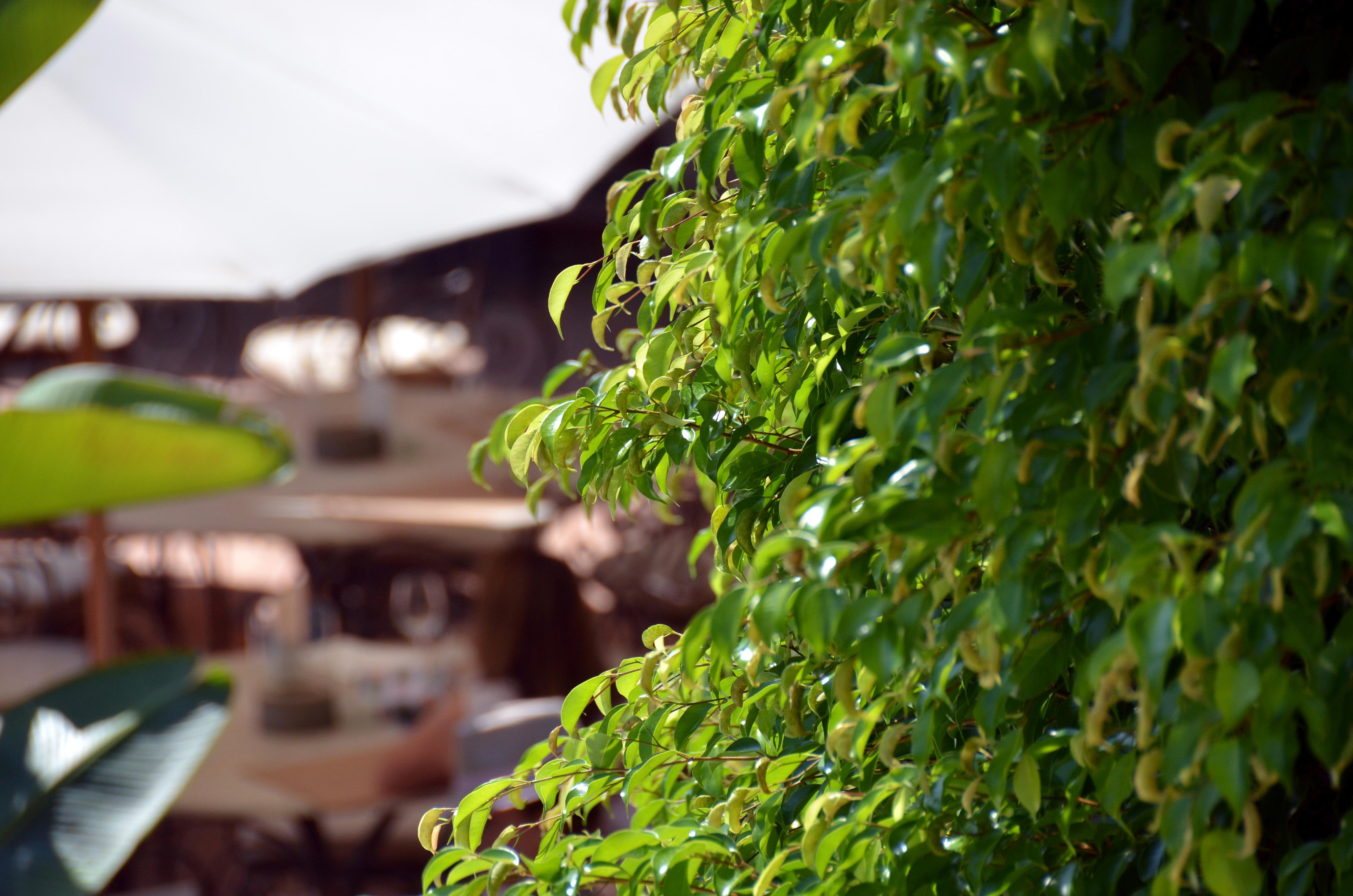 Swiss Moraira Hotel & Spa - Designed For Adults Luaran gambar